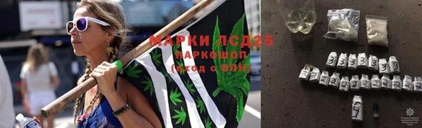 индика Белоозёрский