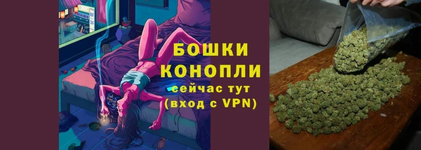 индика Белоозёрский