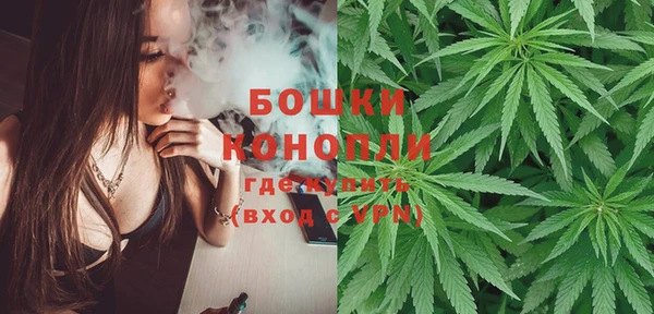 индика Белоозёрский
