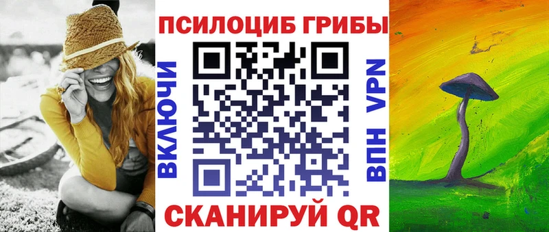 Псилоцибиновые грибы Psilocybine cubensis  Верещагино 